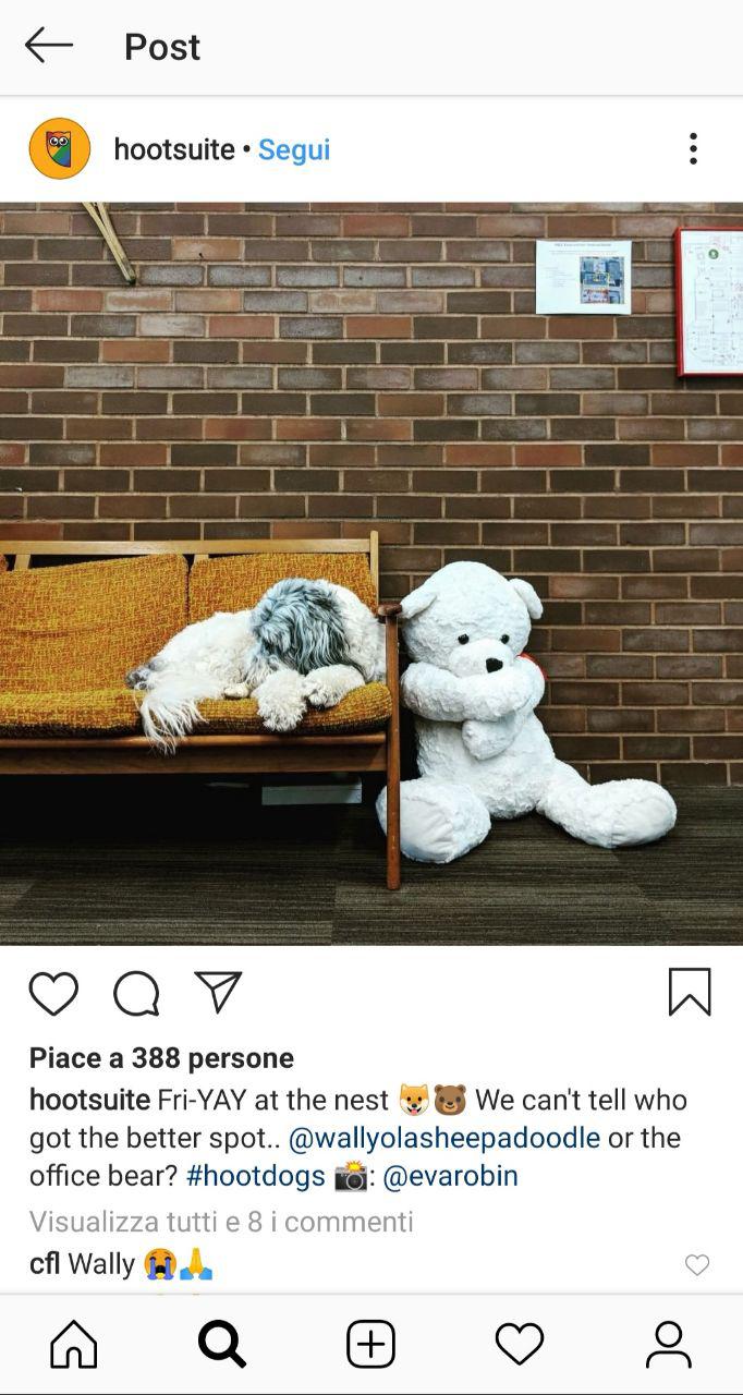 instagram.hootsuite