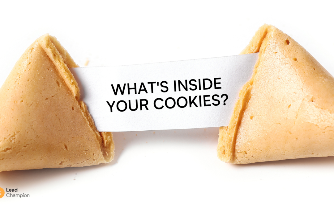 Cookie di terze parti: come stanno trasformando il B2B Digital Marketing